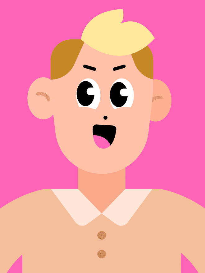 Birgir illustration